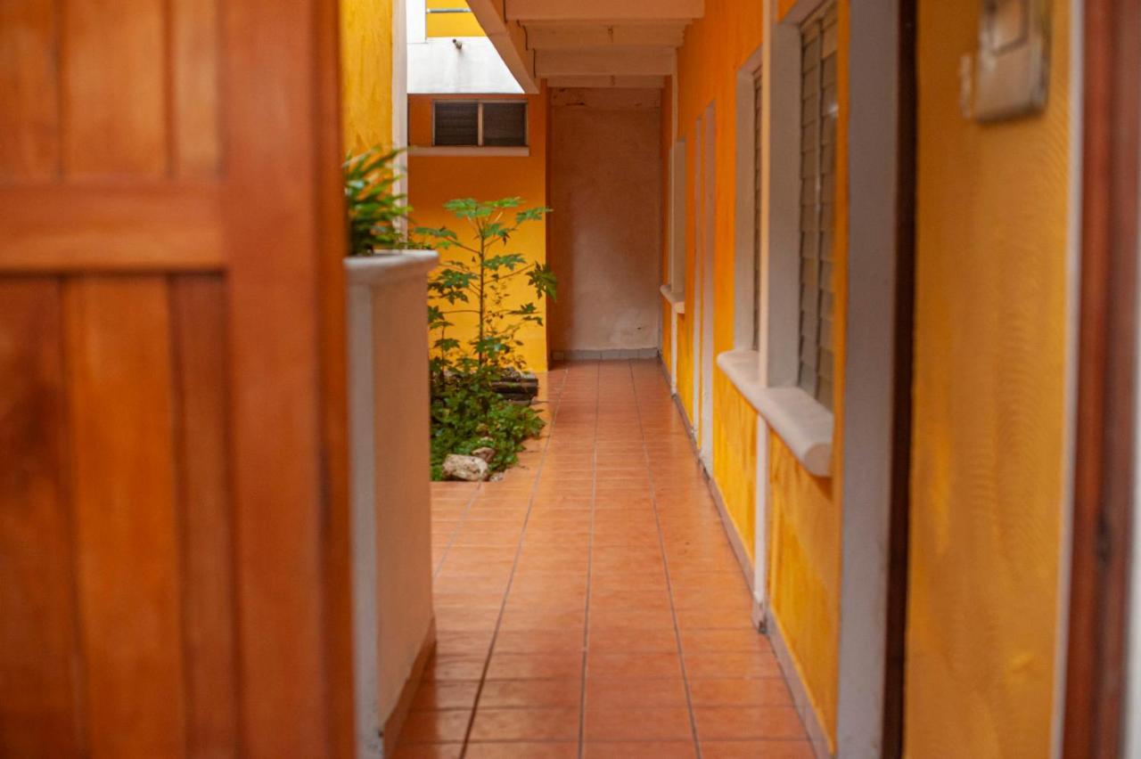 Natz Hotel Flores Luaran gambar