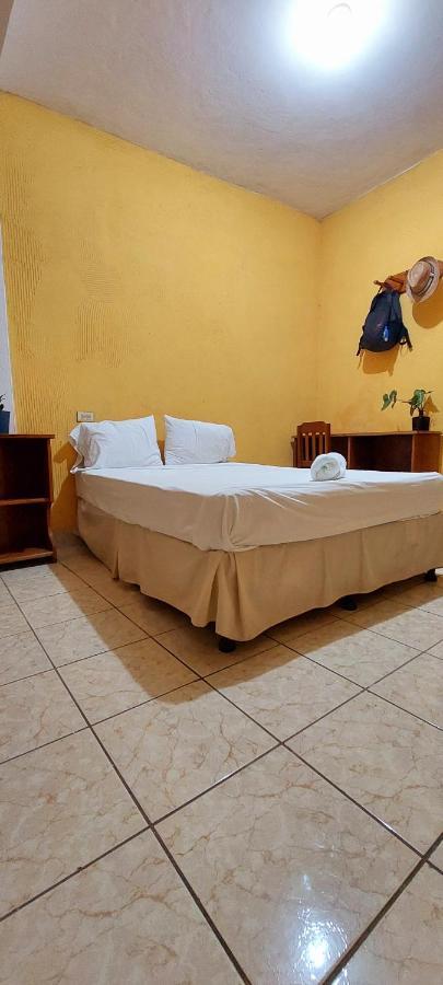 Natz Hotel Flores Luaran gambar